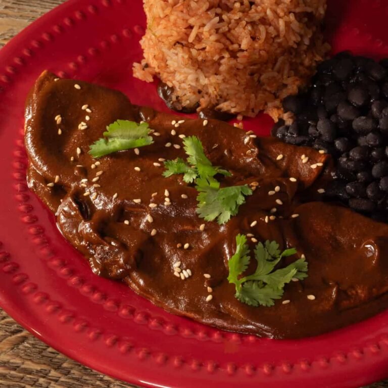 Vegan Molé Poblano